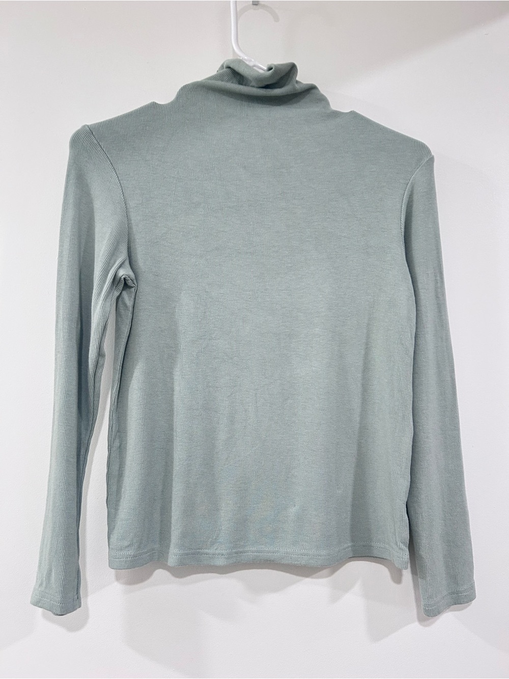 Soft Light Sage Turtleneck Long Sleeve Top